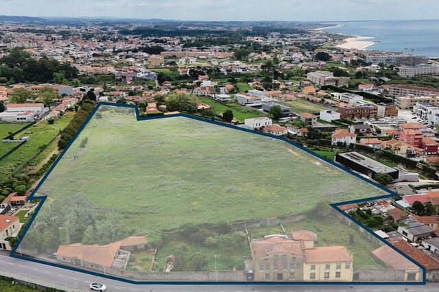 Luxemburgo afunda megaprojeto em Gaia e põe 3 hectares à beira-mar em leilão por 12,5 milhões 