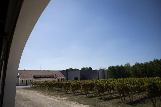 Companhia das Lezírias quer pôr património a ajudar na crise da habitação