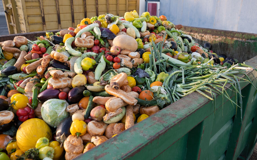 Portugal é o 4.º país da União Europeia    com maior desperdício alimentar per capita.
