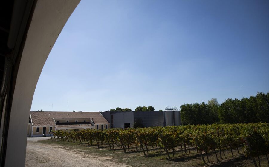 A Companhia das Lezírias tem, em números redondos, uma área de 18 mil hectares.