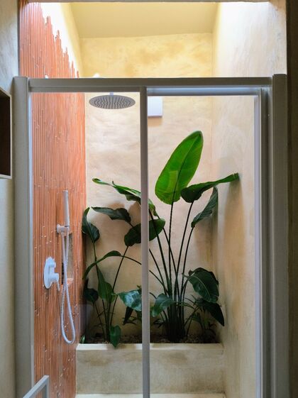 Casa de banho com plantas e chuveiro