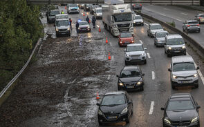 Mau tempo causa 150 ocorrências em Portugal, com inundações e quedas de árvores em Lisboa