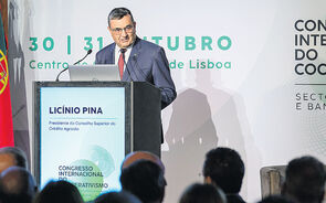 Licínio Pina, presidente do Conselho Superior da Caixa Central de Crédito Agrícola.
