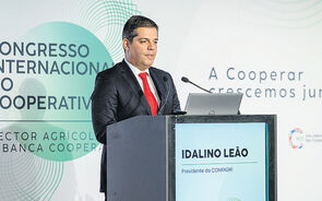 Idalino Leão, presidente da CONFAGRI