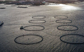 Jerónimo Martins entra no capital de produtora norueguesa de bacalhau