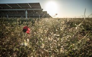 parque solar da Lightsource bp