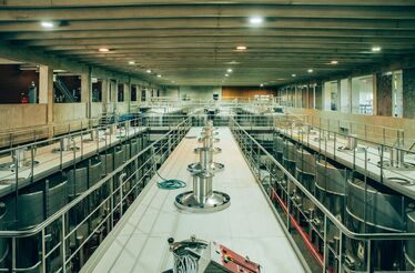 Agência Investir Torres Vedras: ao serviço do crescimento