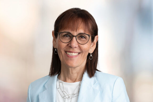 Trabalho em rede podia ser mais explorado em Portugal 