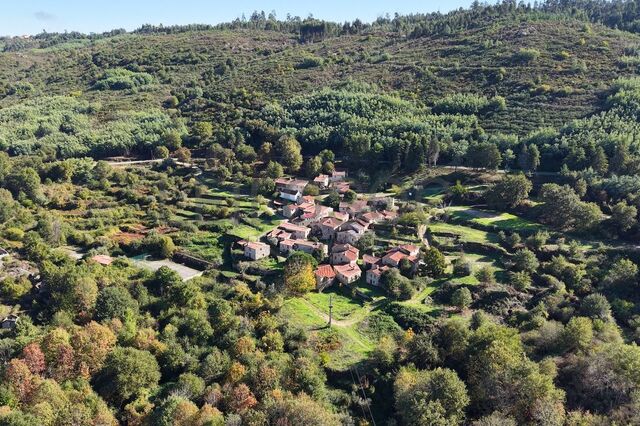 Investidor de Lisboa compra aldeia histórica de Póvoa Dão por 2,3 milhões em leilão online 