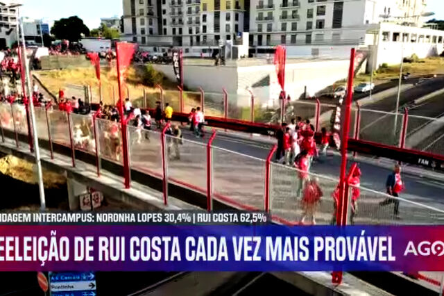 Sondagem Now para as eleições do Benfica: Rui Costa à frente de Noronha Lopes