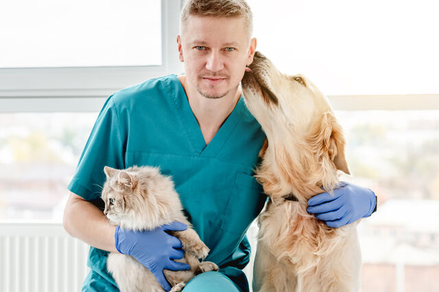 Veterinários pedem IVA a 6% e fim da “discriminação fiscal” entre animais de companhia e de produção