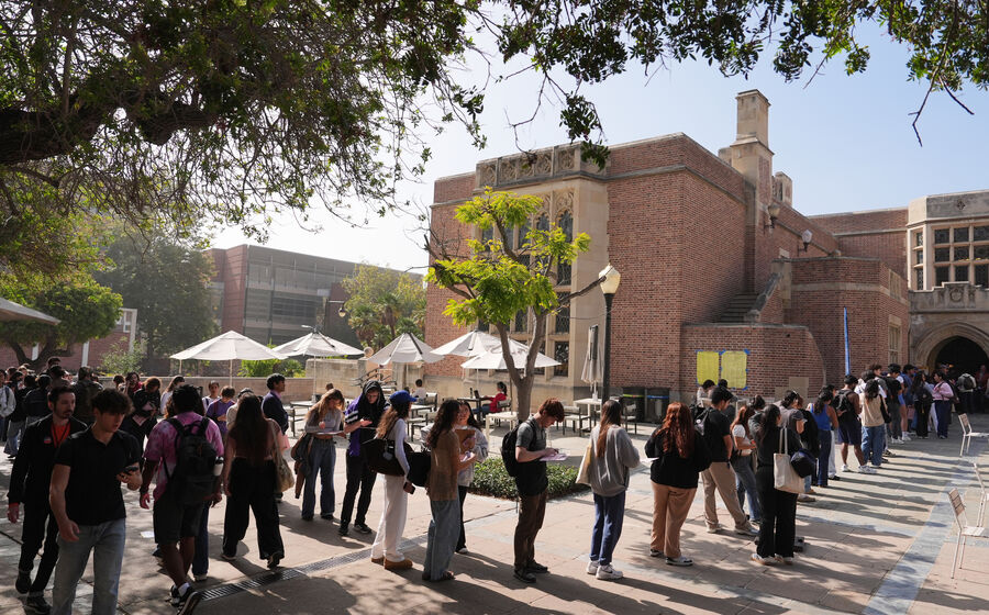 Democratas comemoram vitórias eleitorais nos Estados Unidos, após Trump reagir nas redes sociais