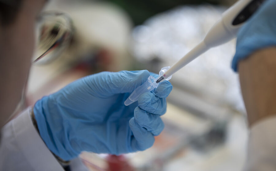 Estado aumenta gasto em análises clínicas para 244 milhões, após queda entre 2022 e 2023