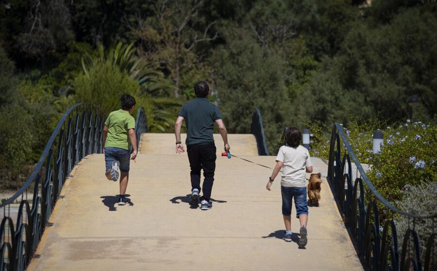 Decisões do Supremo esclarecem que o pedido de horário flexível pode incluir os dias de descanso.