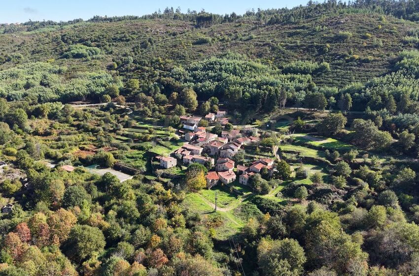 Aldeia histórica de Póvoa Dão é leiloada após falência da Ramos Catarino