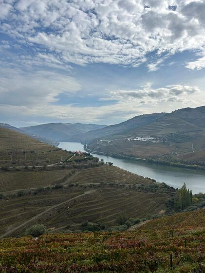 IVDP, IP reforça defesa das denominações Douro e Porto na UE, Índia e Reino Unido