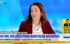 Entrevista a Sofia Moreira de Sousa.mp4