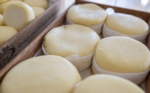 China impõe tarifas provisórias até 42,7% a produtos lácteos da União Europeia