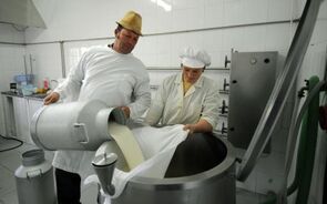 Fileira do leite culpa 'imprudências europeias' por crise e exige 'medidas imediatas'