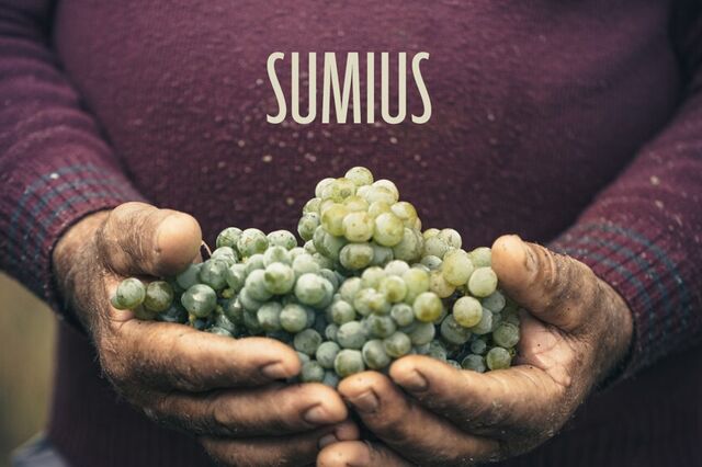 SUMIUS – Vinhos elegantes e surpreendentes