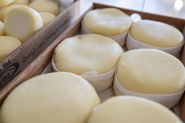 China impõe tarifas provisórias até 42,7% a produtos lácteos da UE