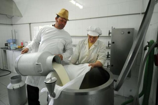 Fileira do leite culpa 'imprudências europeias' por crise e exige 'medidas imediatas'