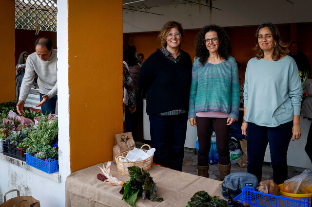 Conversas à lareira, mercados de trocas e redes de partilha – o regresso das comunidades 