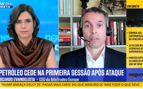 Entrevista a Ricardo Evangelista.mp4