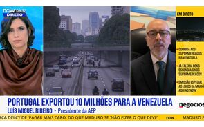 Entrevista a Luís Miguel Ribeiro.mp4