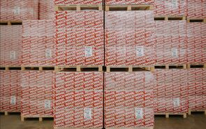 Moscovo assume controlo de fábricas da Rockwool, empresa dinamarquesa