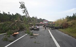 Depressão Kristin: Uma pessoa morreu, estradas cortadas, vários transportes suspensos