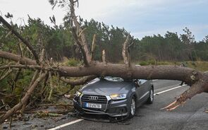 Árvores caídas, infraestruturas danificadas, inundações: o rasto de destruição deixado pela depressão Kristin em Portugal 