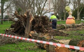 Segunda vítima mortal em Leiria. 'Situação não será de rápida resolução', diz Proteção Civil
