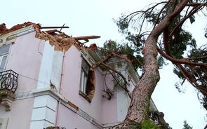 Mau tempo: Cerca de 180 mil clientes continuavam sem energia às 08:00