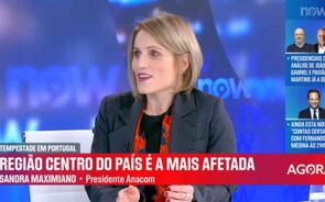 Falha de comunicações deverão ser resolvidas 'nos próximos dias', diz presidente da Anacom   