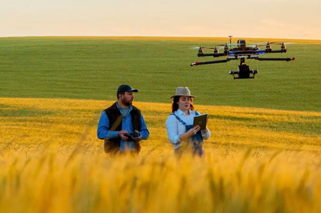 Programa Promove abre candidaturas até 12 de fevereiro de 2026 e reforça investimento no interior de Portugal