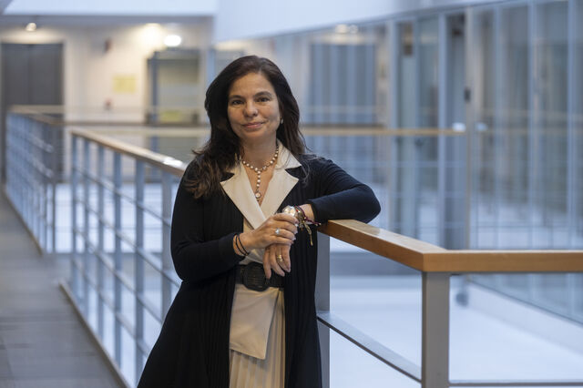 Lei da Nacionalidade: 'Há alguma desilusão com as alterações de regras a meio do jogo'