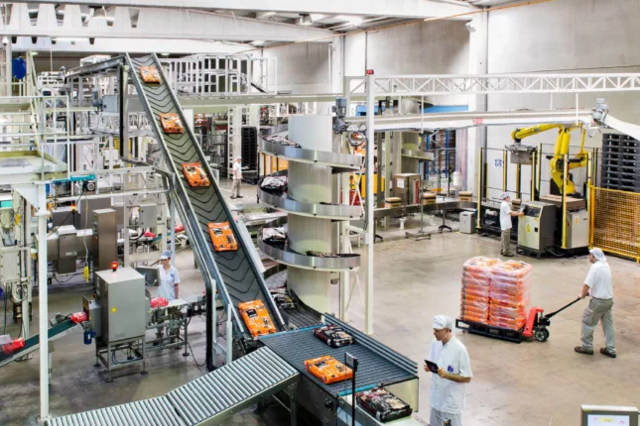 Belgas vão investir 33 milhões em Portugal numa fábrica de alimentos para cães e gatos