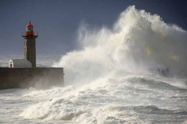 Estradas cortadas, escolas fechadas. Depressão Ingrid condiciona várias regiões em Portugal