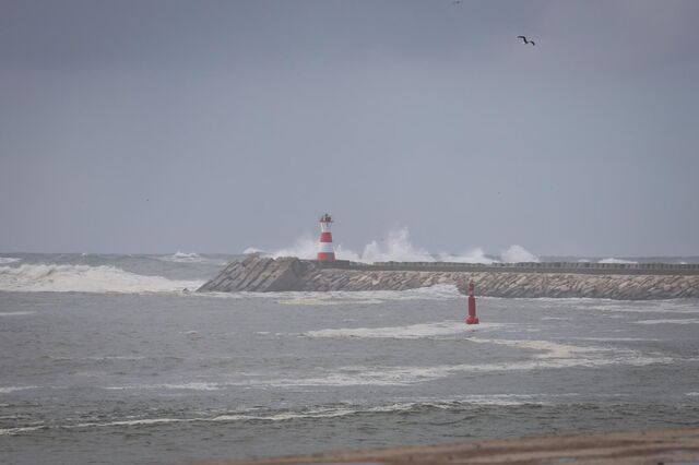Cargueiro neerlandês à deriva na Figueira da Foz em risco de naufragar. Porto da região fechado