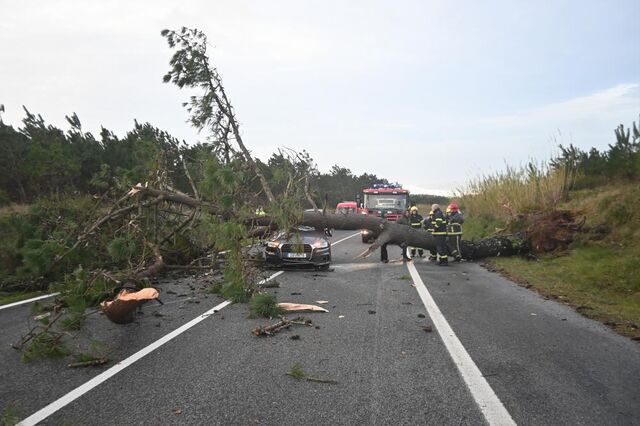 Anacom recomenda abertura das redes aos utilizadores nas zonas afetadas pelo mau tempo 
