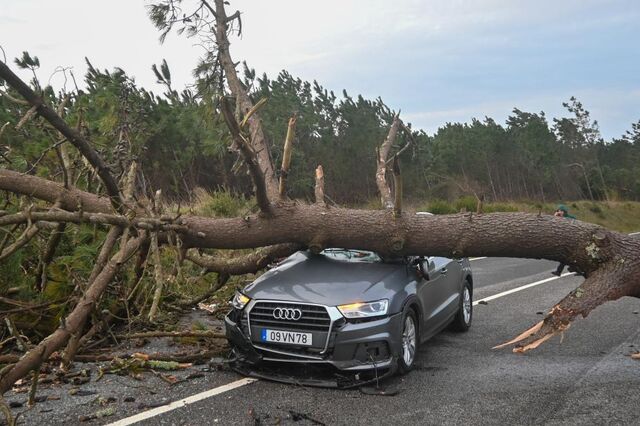 Árvores caídas, infraestruturas danificadas, inundações: o rasto de destruição deixado pela depressão Kristin em Portugal 