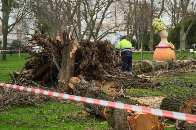 Mau Tempo: Marcelo saúda medidas do Governo e promete acompanhá-las 'a par e passo' 