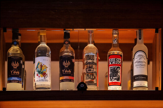 Investida de Trump contra imigrantes ilegais faz ricochete nas vendas de tequila