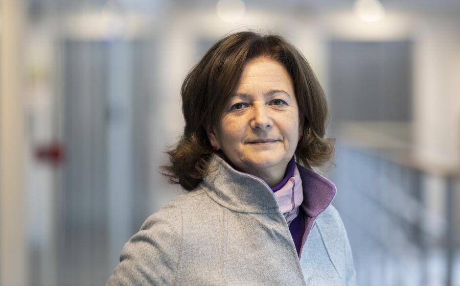 Fernanda Paula Oliveira, professora da universidade de Coimbra e especialista em urbanismo