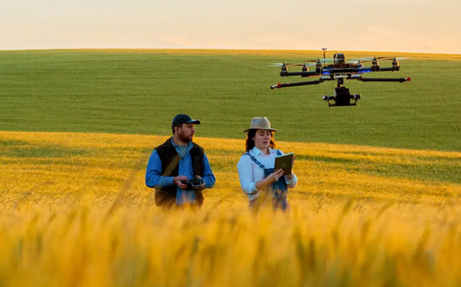Candidaturas abertas para o programa Promove, que impulsiona o futuro e a inovação no interior de Portugal