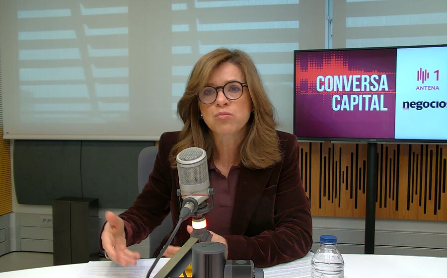 'As empresas com dívida da covid estão a saber geri-la', diz Cristina Siza Vieira