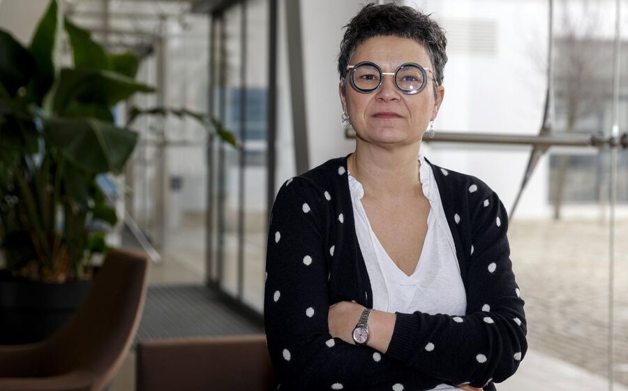 Professora da Nova SBE defende que para combater a pobreza não basta o crescimento da economia  