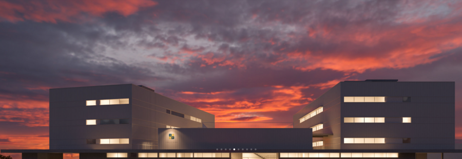 O Colégio Novo de Gaia foi oficialmente inaugurado esta sexta-feira, 23 de janeiro.