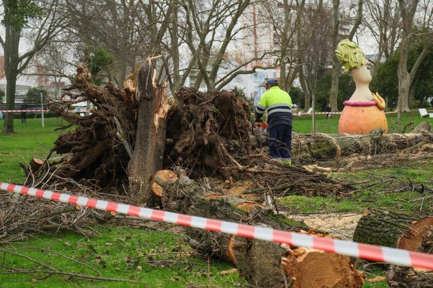Efeitos da depressão Kristin em Setúbal